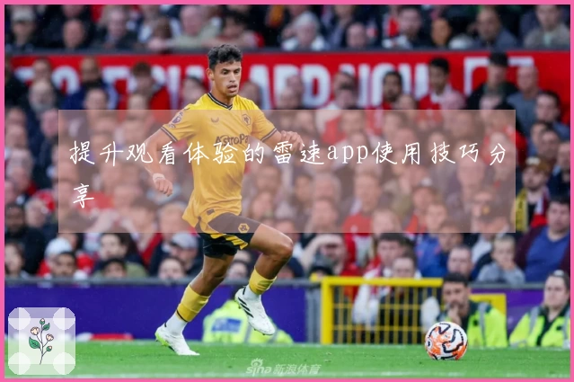 提升观看体验的雷速app使用技巧分享